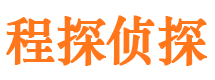 龙子湖找人公司